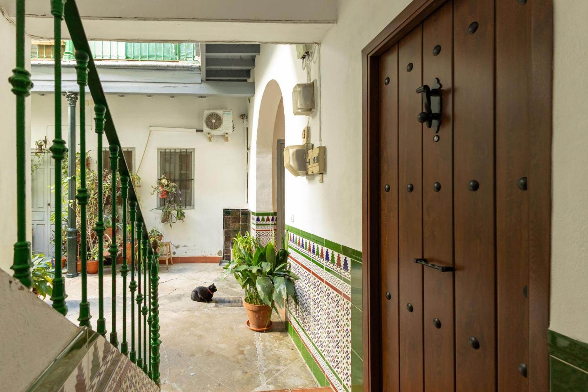 Modern Spacious Apartment Central Of إشبيلية المظهر الخارجي الصورة